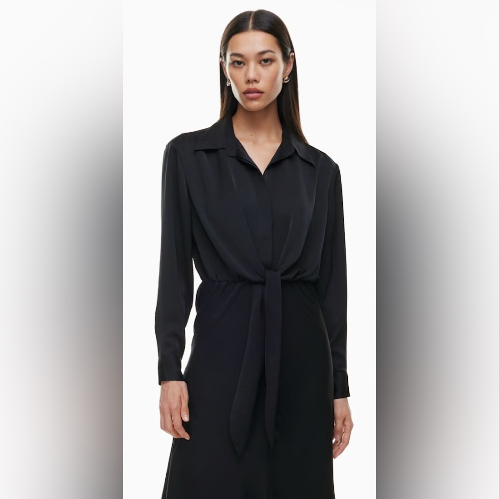 Aritzia Babaton Front Tie Dress